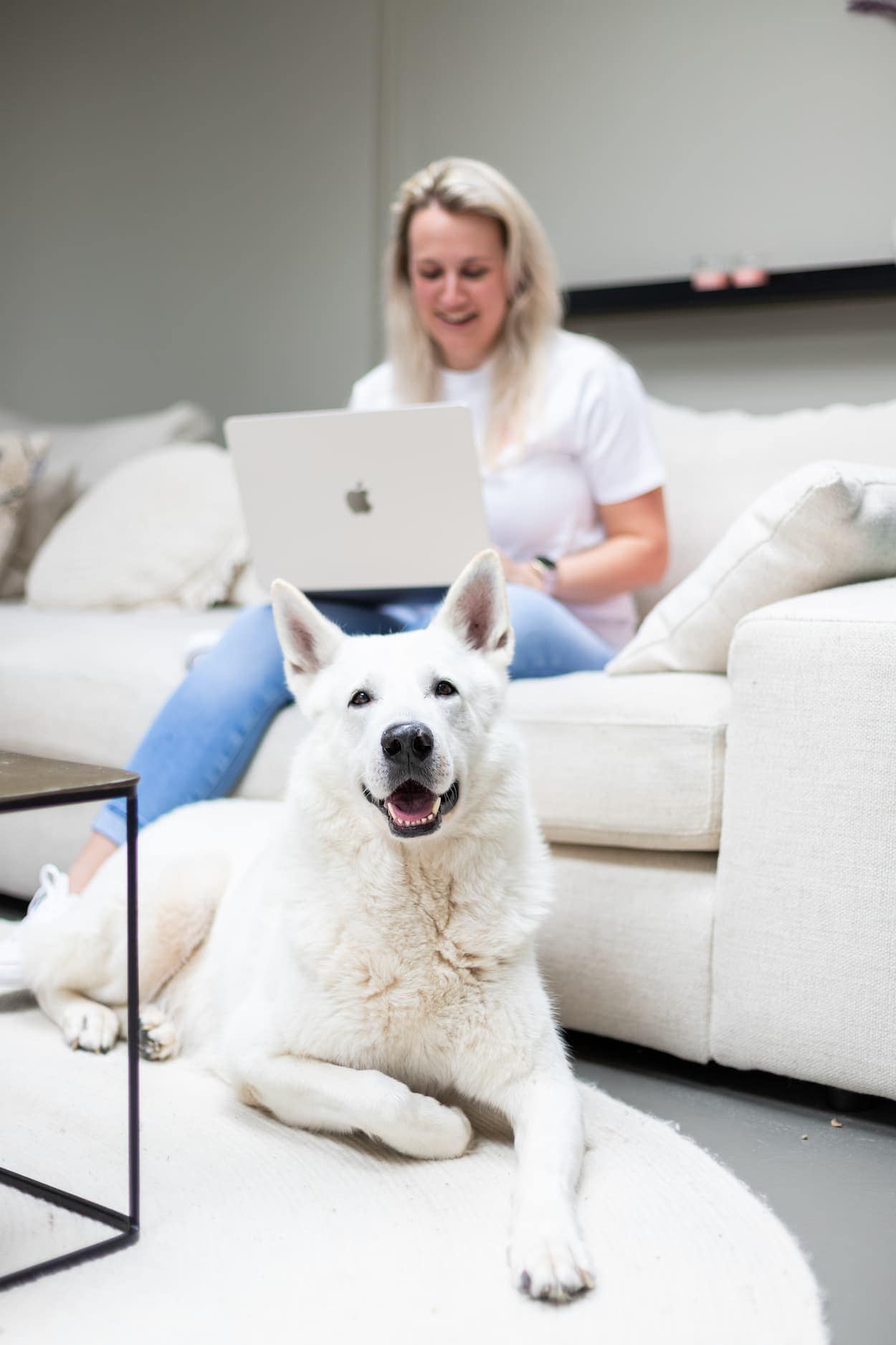 Een vrouw werkt op een laptop terwijl ze op de bank zit, met een blije witte hond die naast haar ligt. De ontspannen sfeer benadrukt de band tussen huisdieren en hun eigenaren.